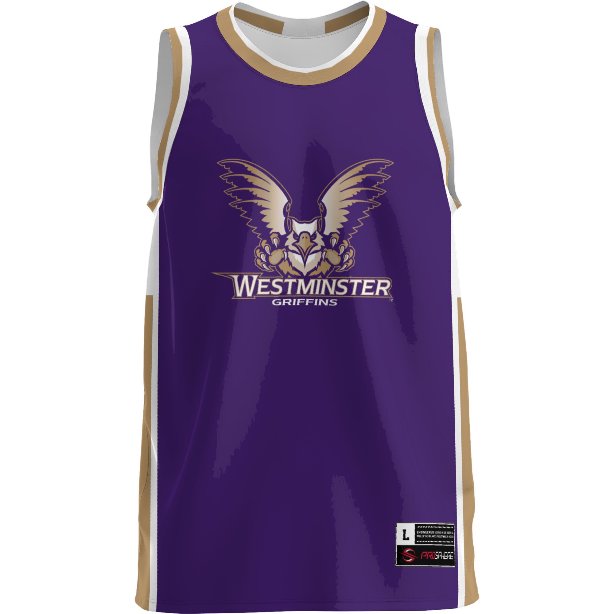 Westminster Griffins NBA Jersey Blue NBA Men Fan Wear
