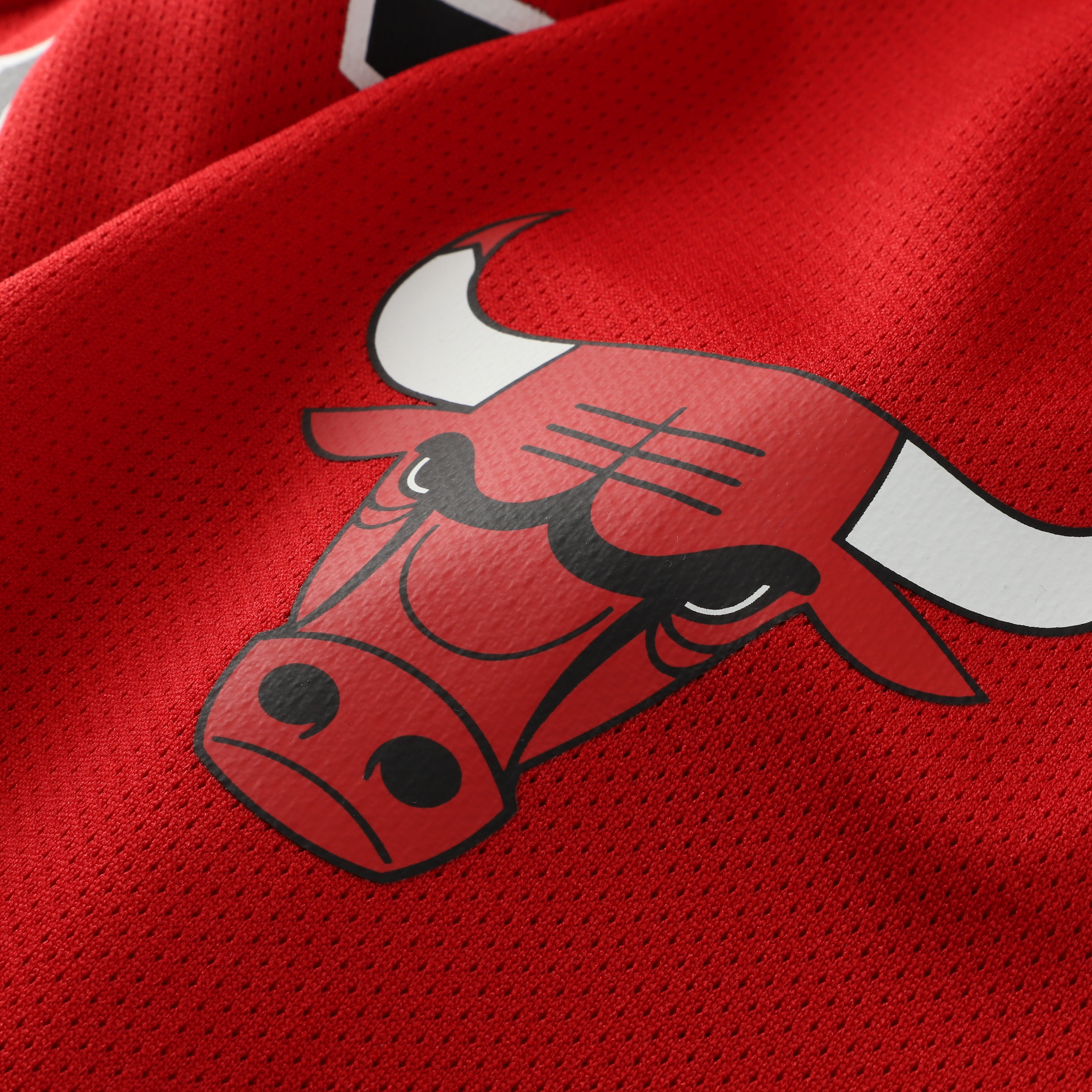 Dennis Rodman Chicago Bulls Jersey Red NBA Youth Fan Wear