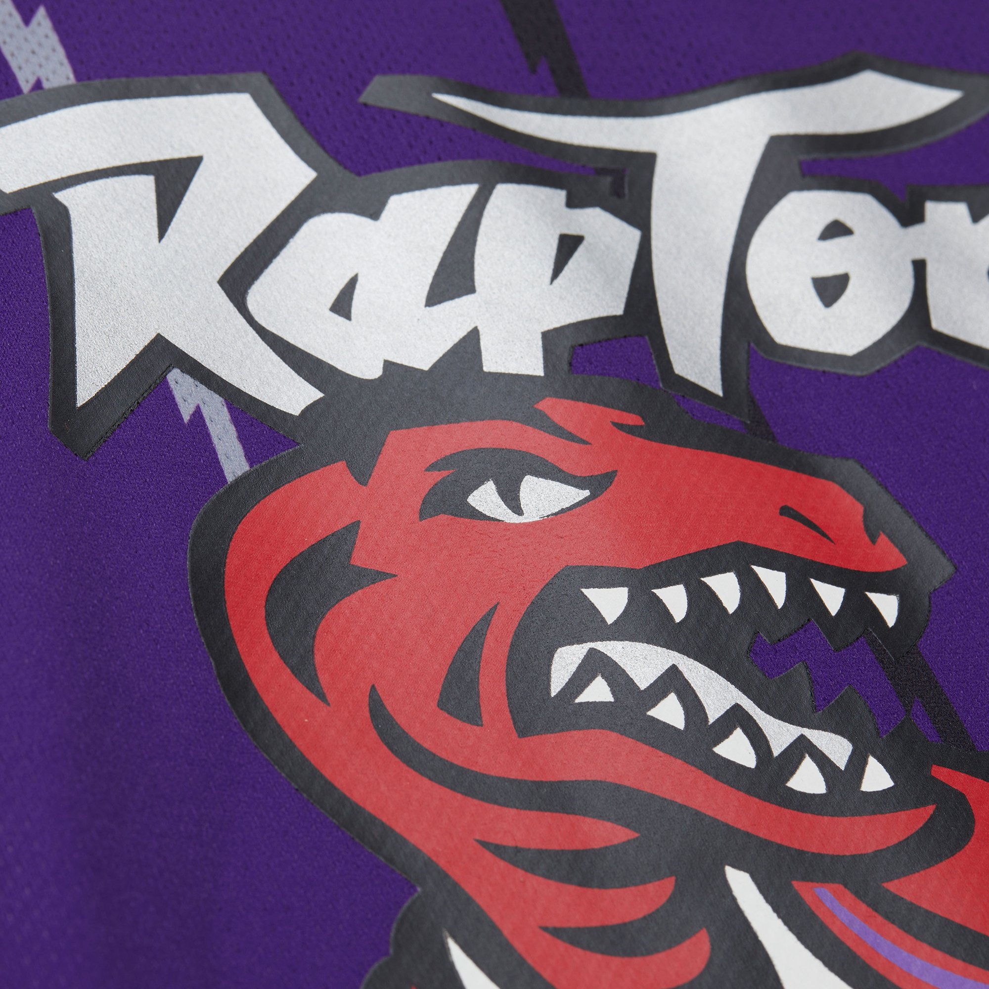 Vince Carter Toronto Raptors Jersey Purple NBA Men Fan Wear Vince Carter