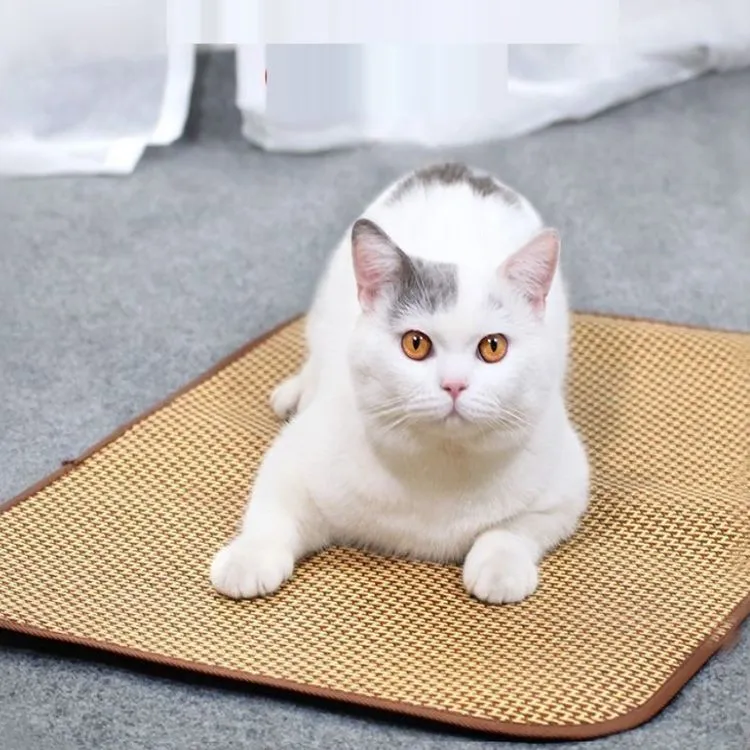 Cat Beds & Mats