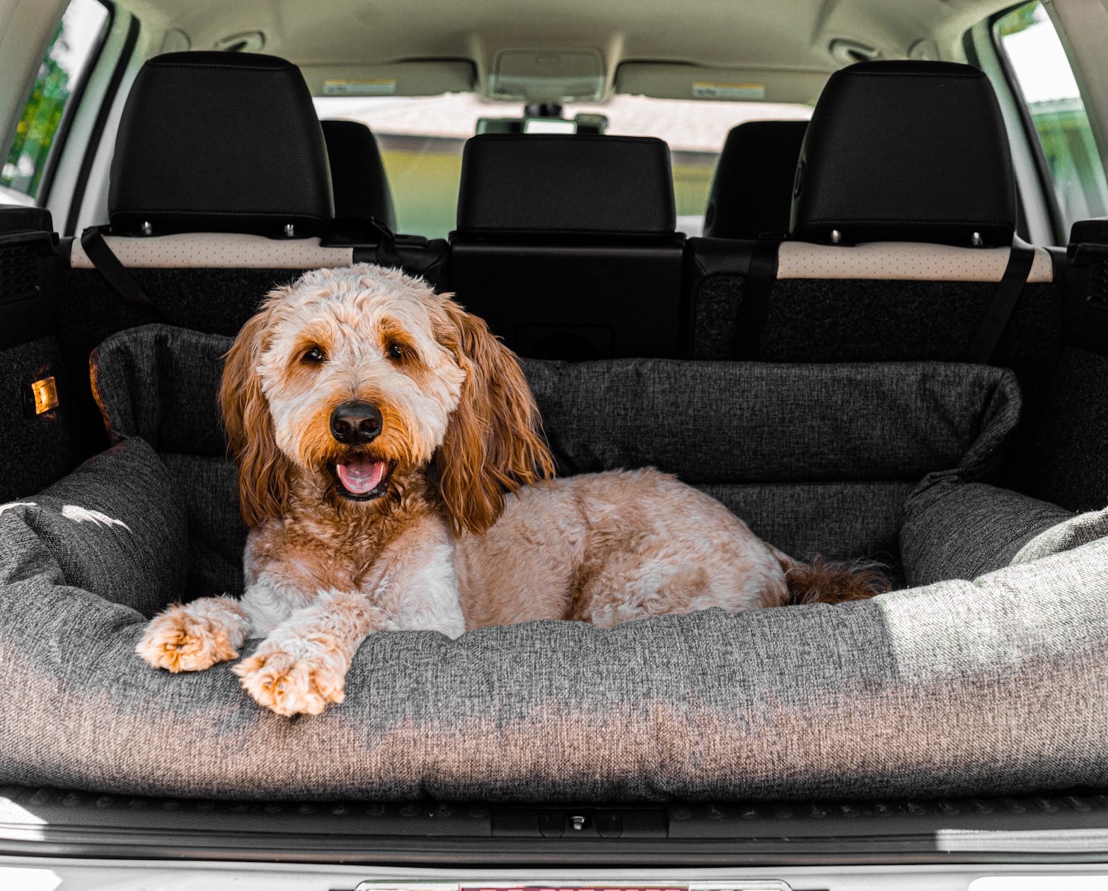 amoraspot Performance Tweed Memory Foam Dog Car Bed