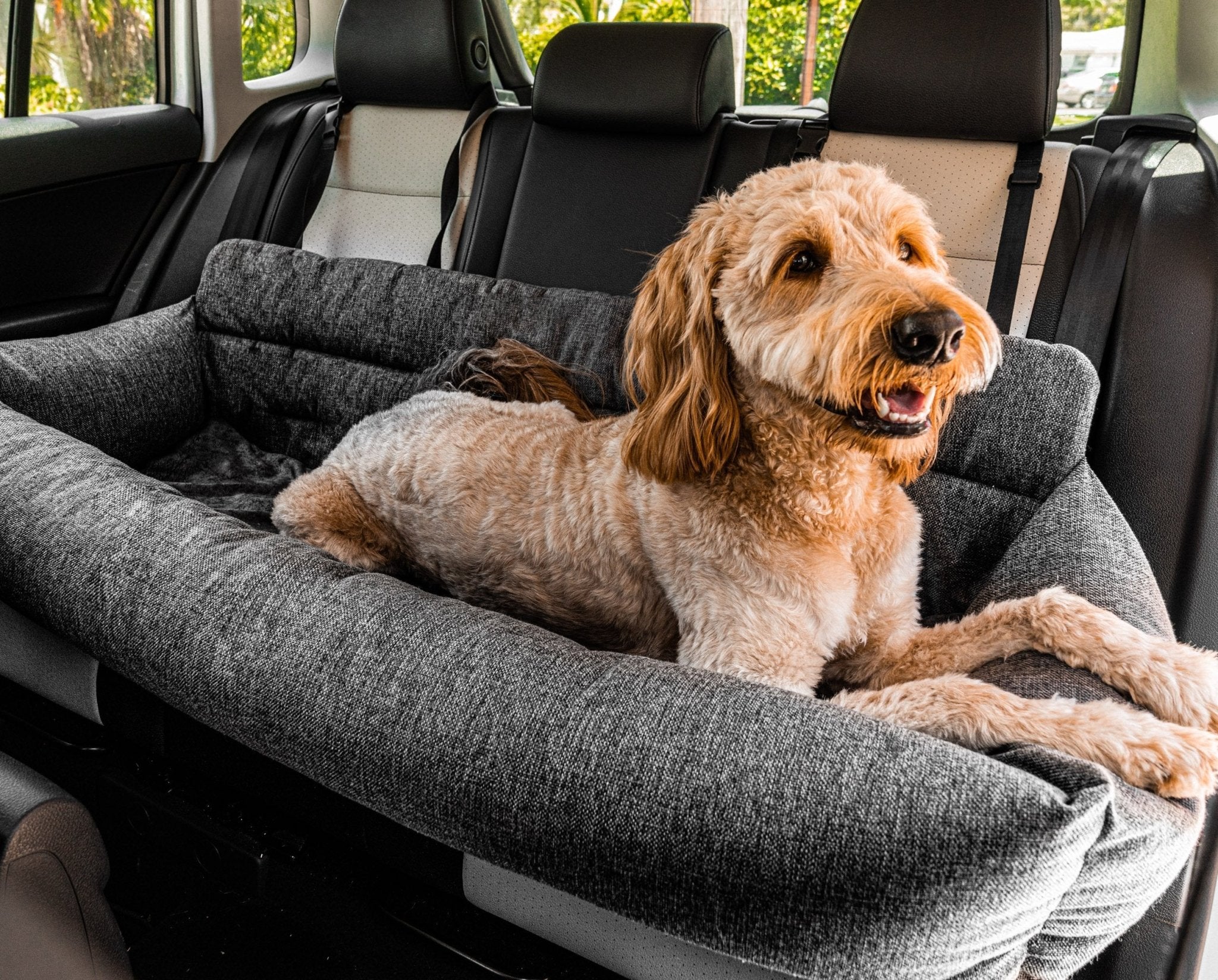 amoraspot Performance Tweed Memory Foam Dog Car Bed