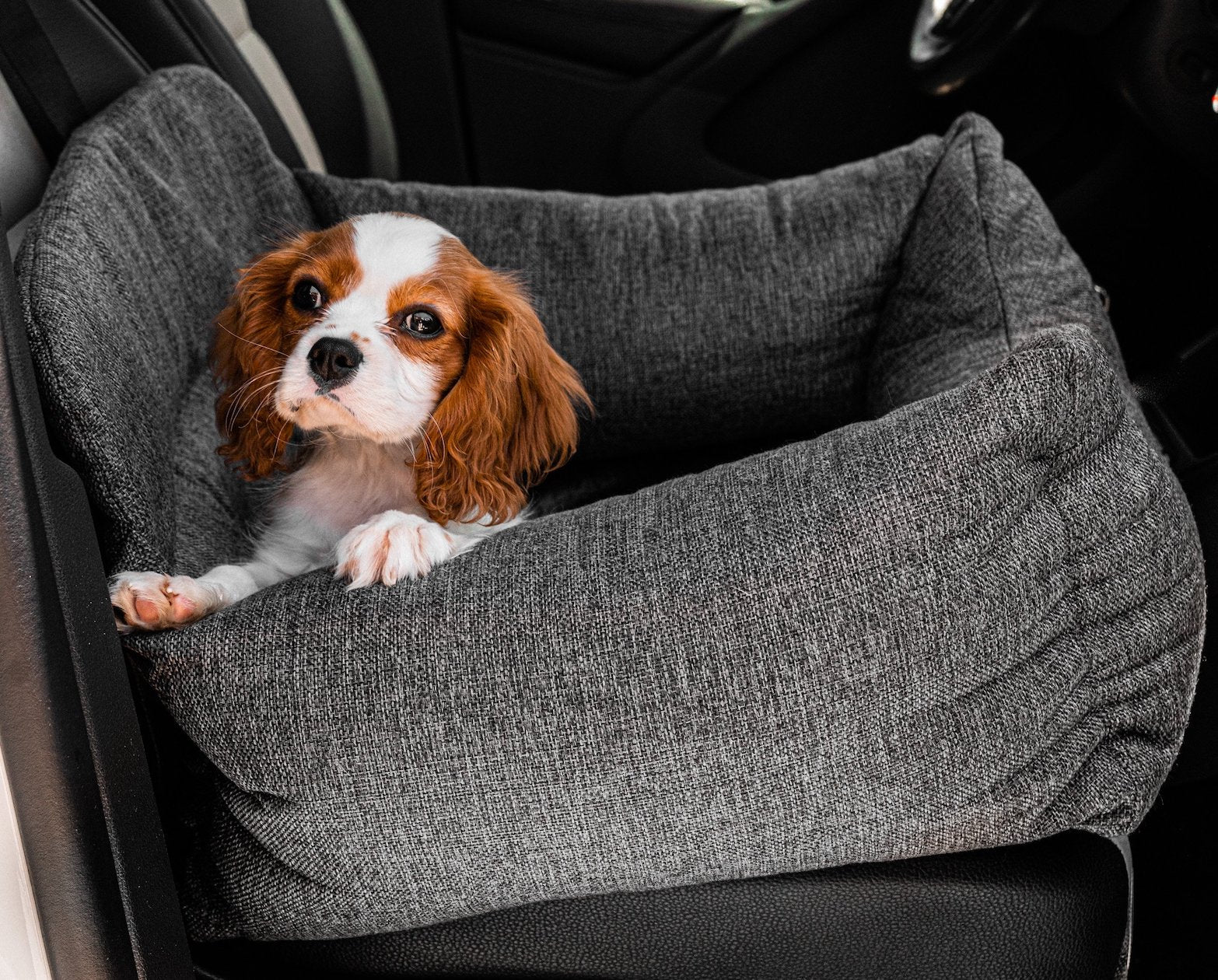 amoraspot Performance Tweed Memory Foam Dog Car Bed