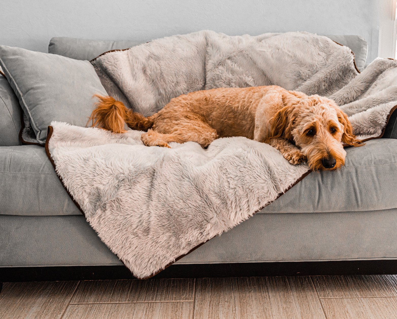 amoraspot Summer Short Fur Waterproof Throw Blanket - Grey