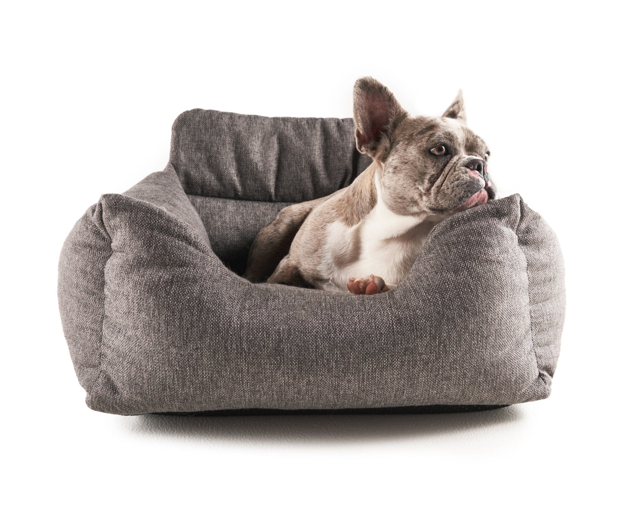 amoraspot Performance Tweed Memory Foam Dog Car Bed