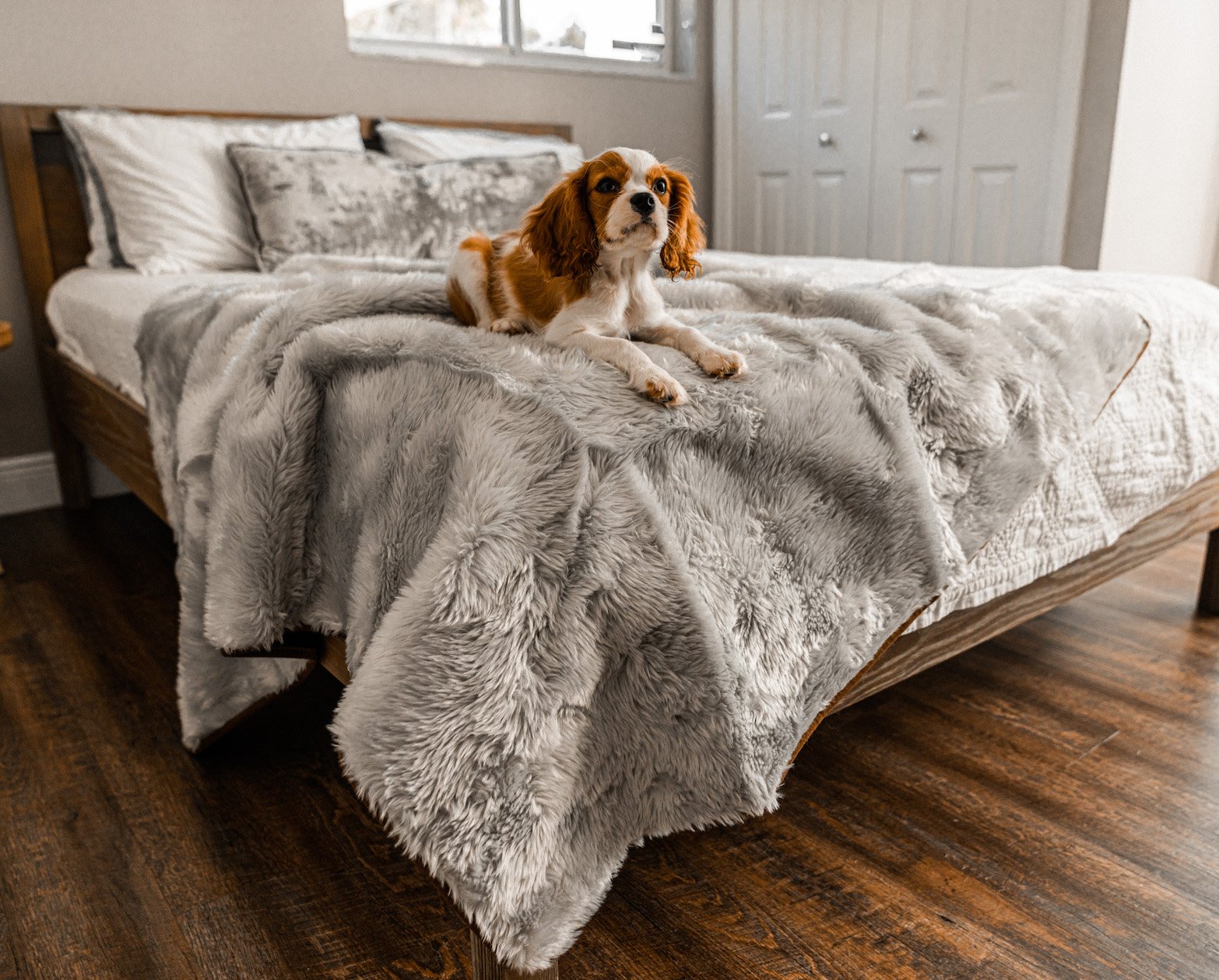 amoraspot Summer Short Fur Waterproof Throw Blanket - Grey