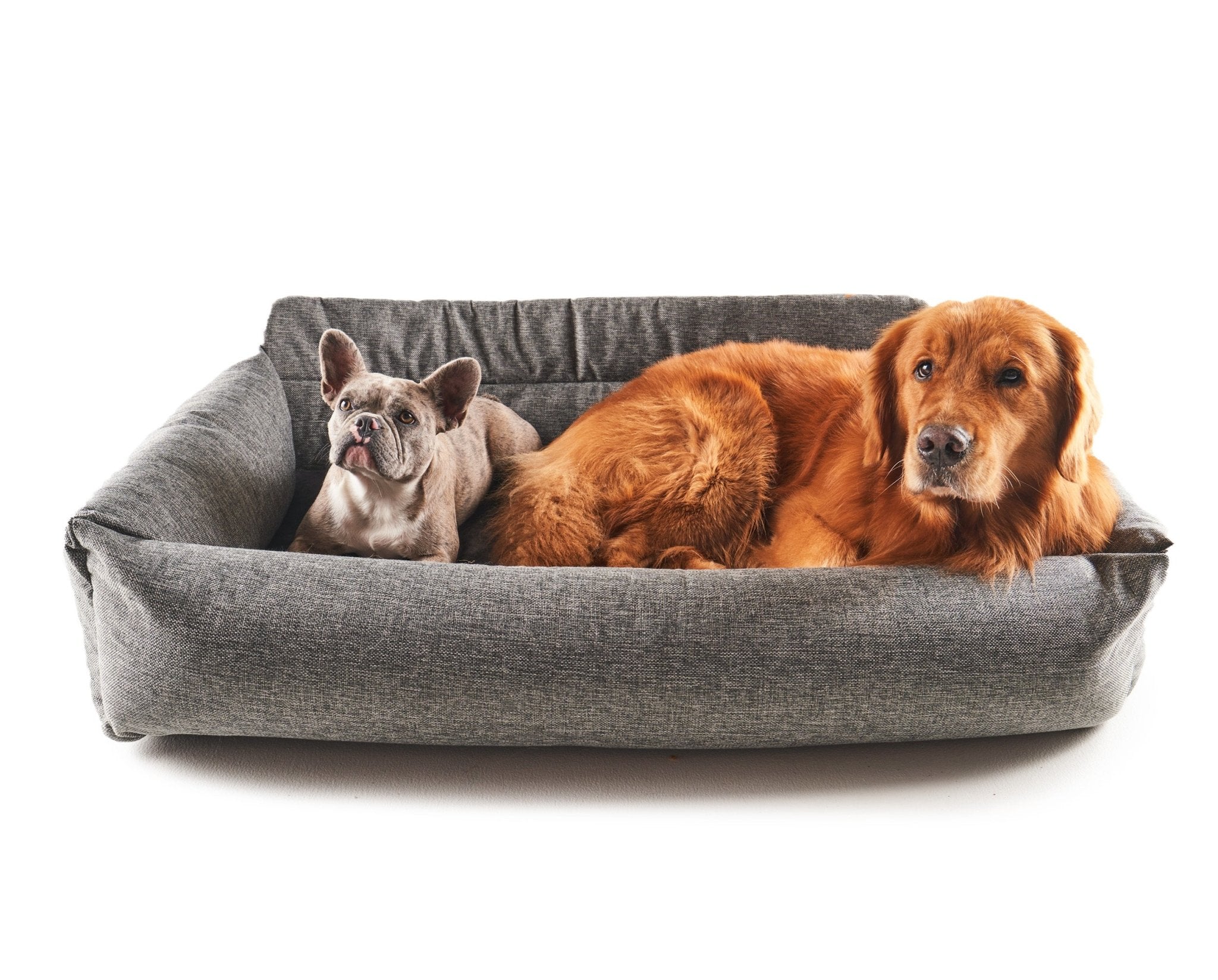 amoraspot Performance Tweed Memory Foam Dog Car Bed