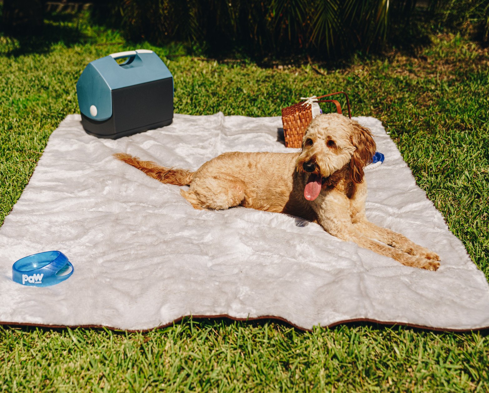amoraspot Summer Short Fur Waterproof Throw Blanket - Grey