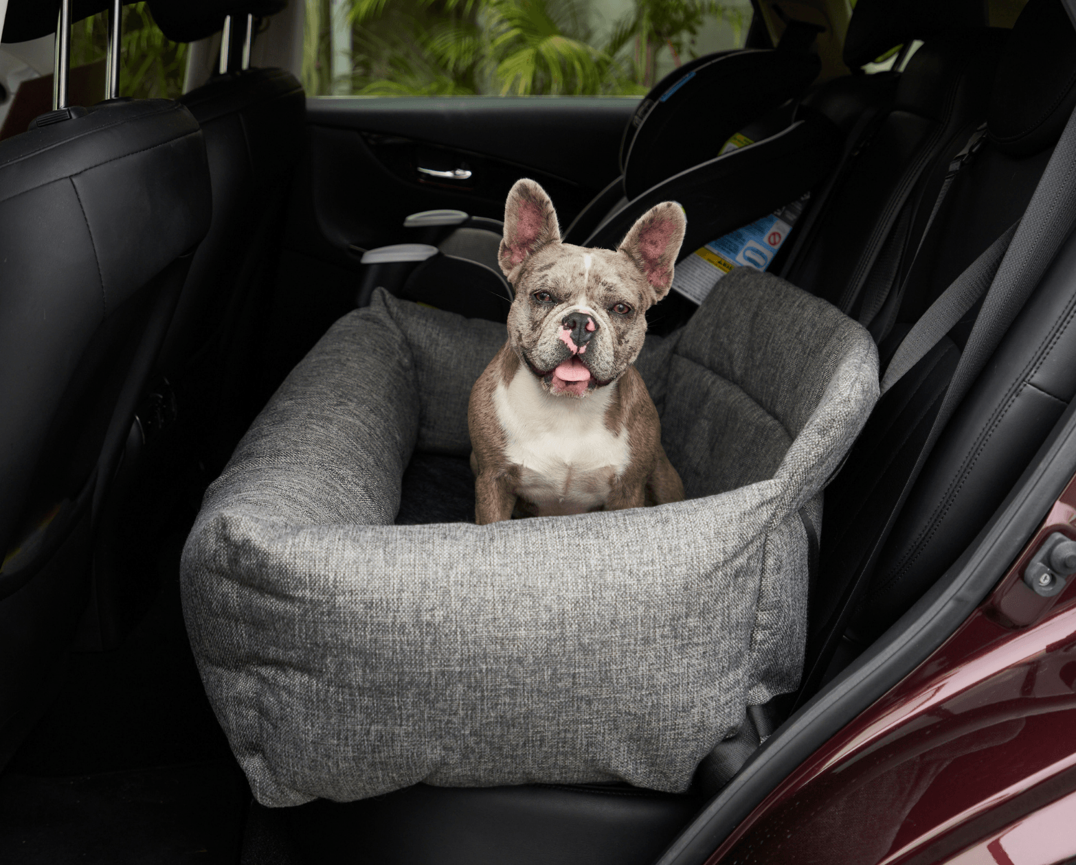amoraspot Performance Tweed Memory Foam Dog Car Bed