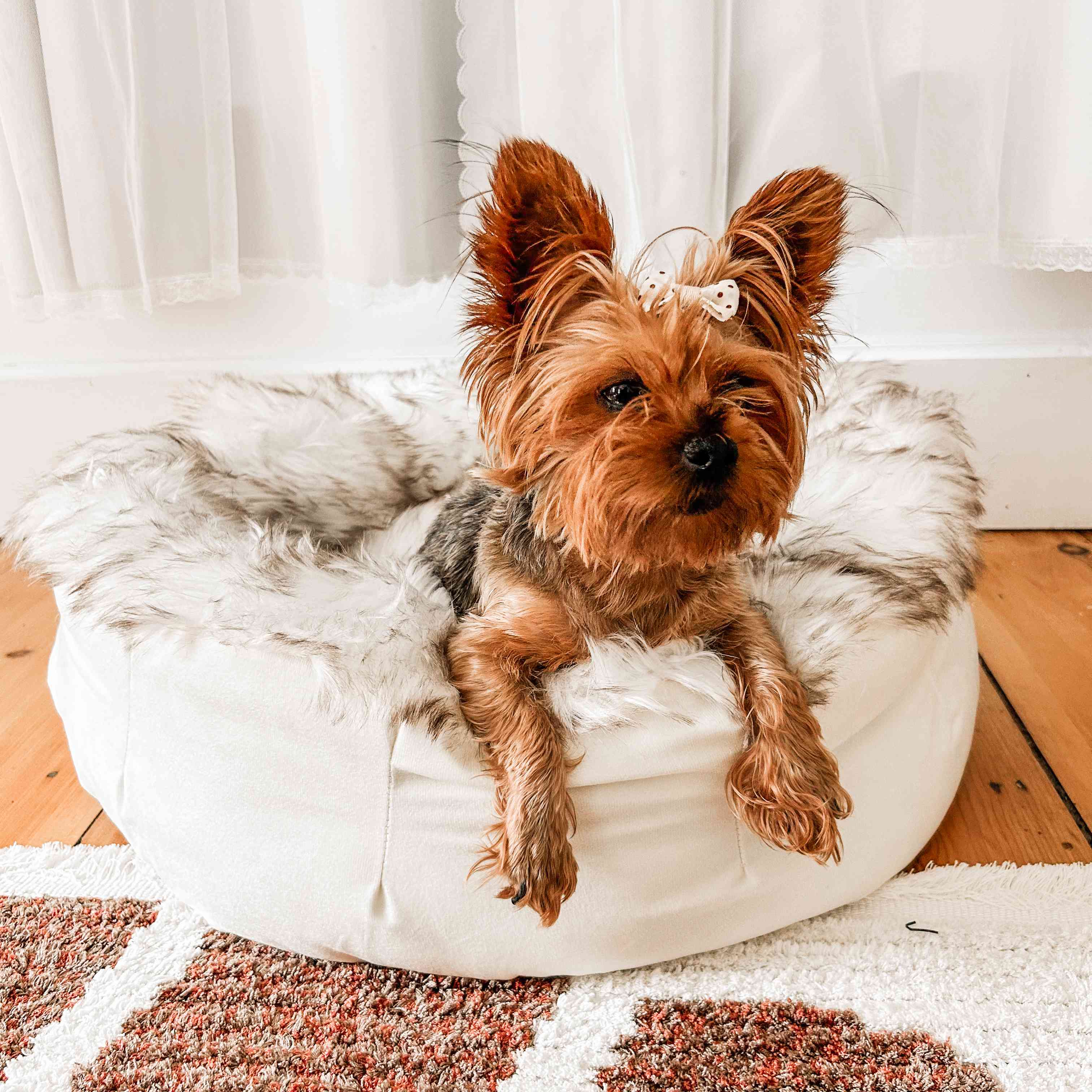 amoraspot Faux Fur Donut Dog Bed - White with Brown Accents