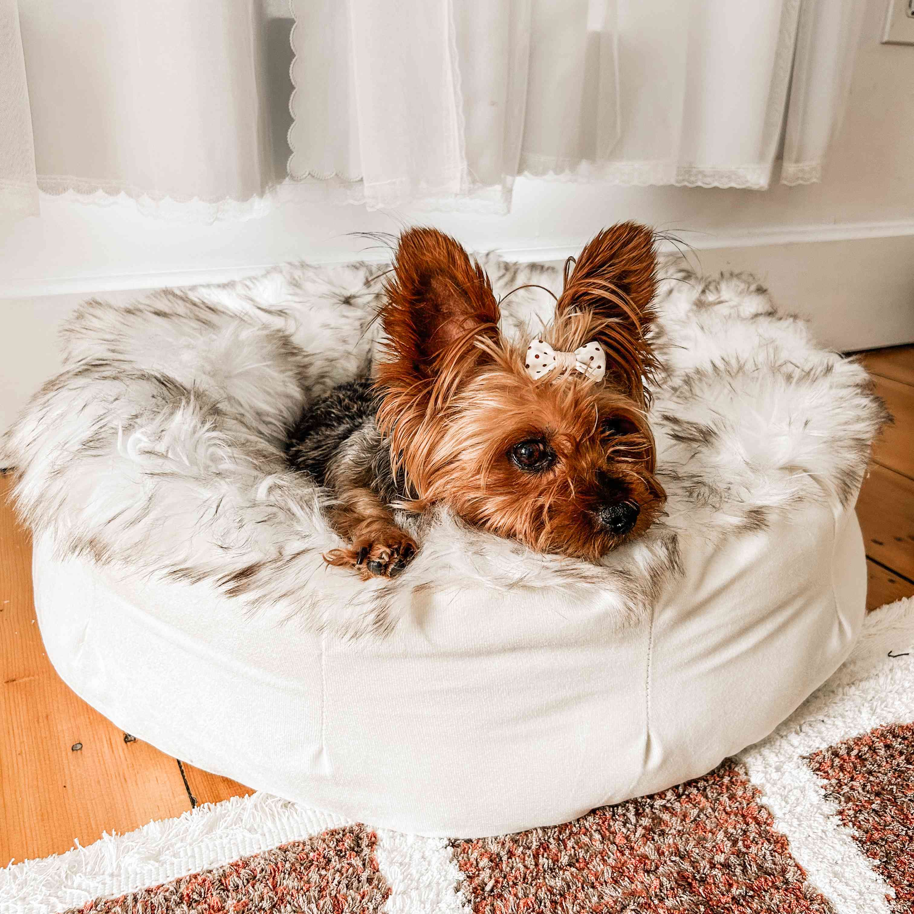 amoraspot Faux Fur Donut Dog Bed - White with Brown Accents
