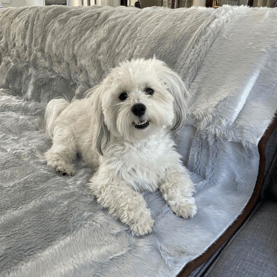 amoraspot Summer Short Fur Waterproof Throw Blanket - Grey