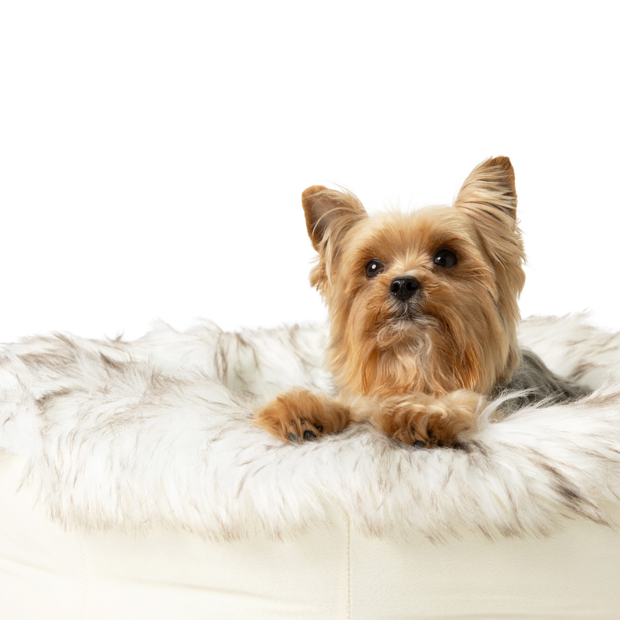 amoraspot Faux Fur Donut Dog Bed - White with Brown Accents