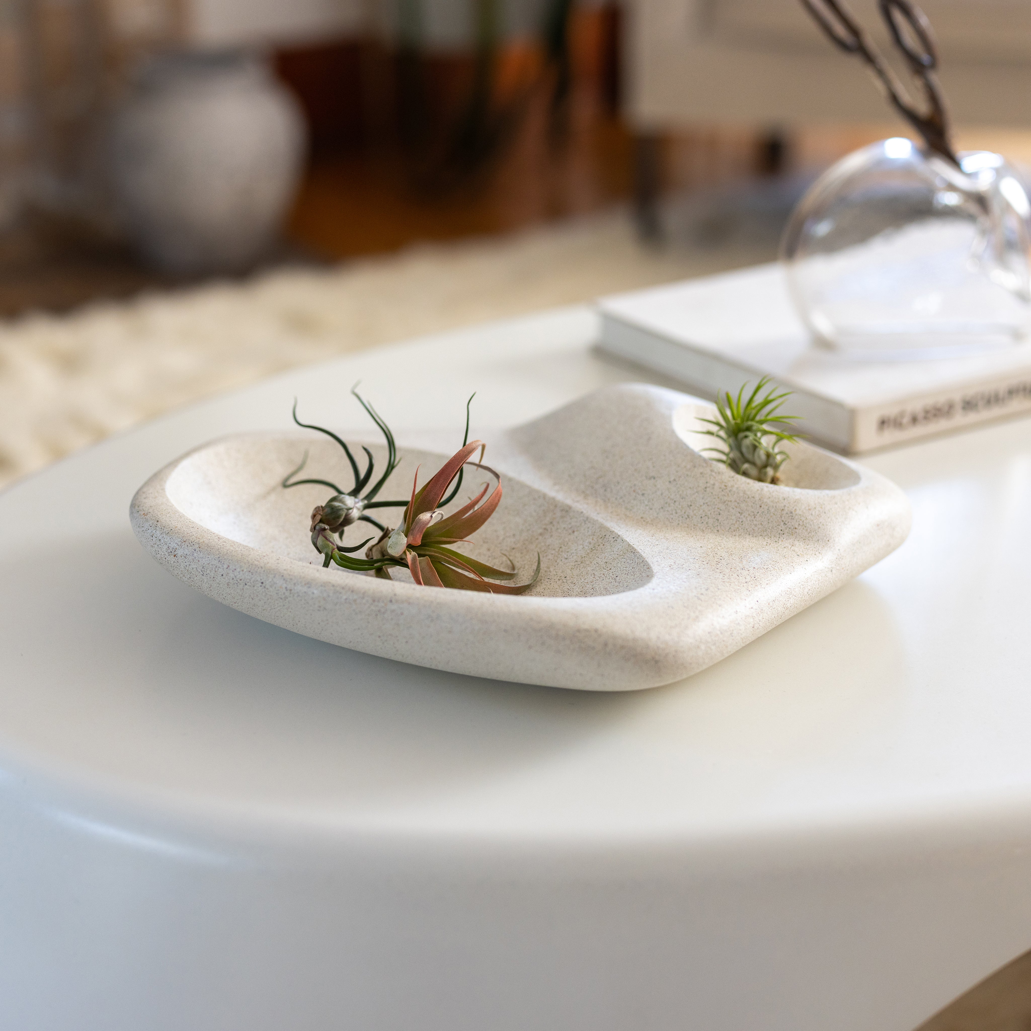 ardentbrook Tide Pool Platter