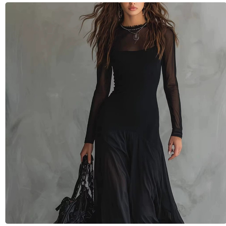 Elegant Sheer Mesh Panel Long Sleeve Dress