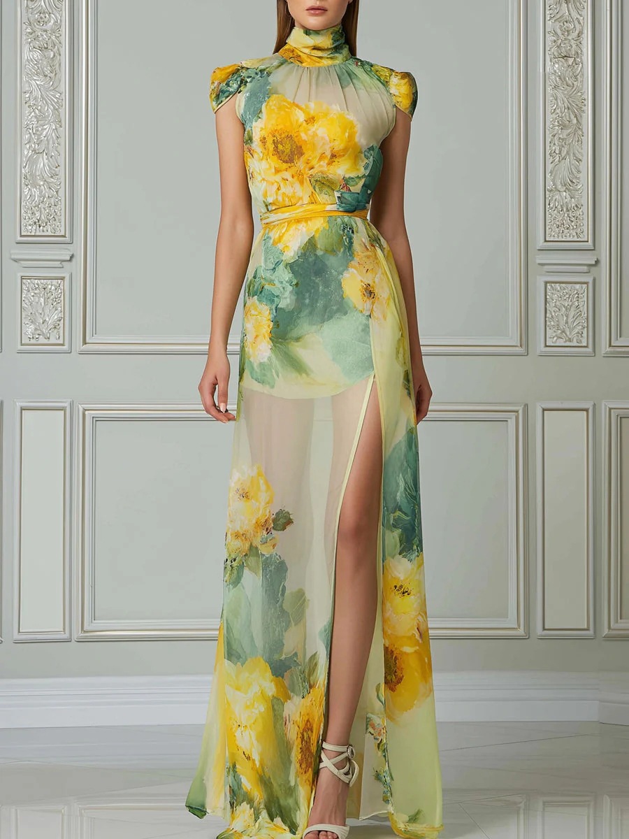 Women's Short Sleeve Digital Print Bodycon Long Dress