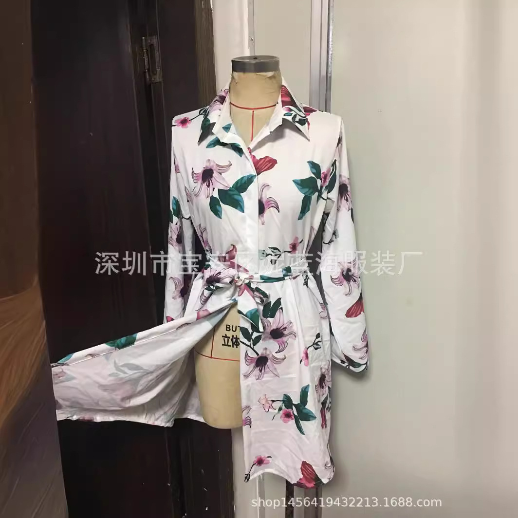 Women's Button-Down Digital Print Dress with Collar and Tie