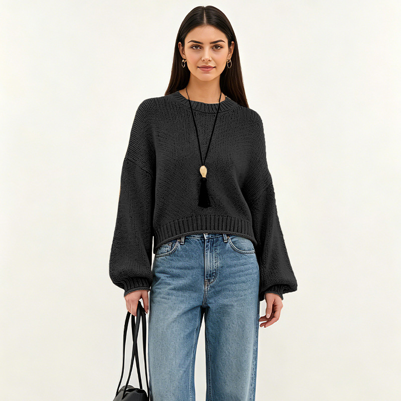 Women's Loose Crewneck Pullover Sweater Casual Knit Top