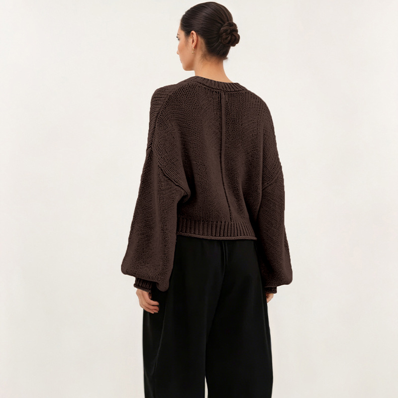 Women's Loose Crewneck Pullover Sweater Casual Knit Top