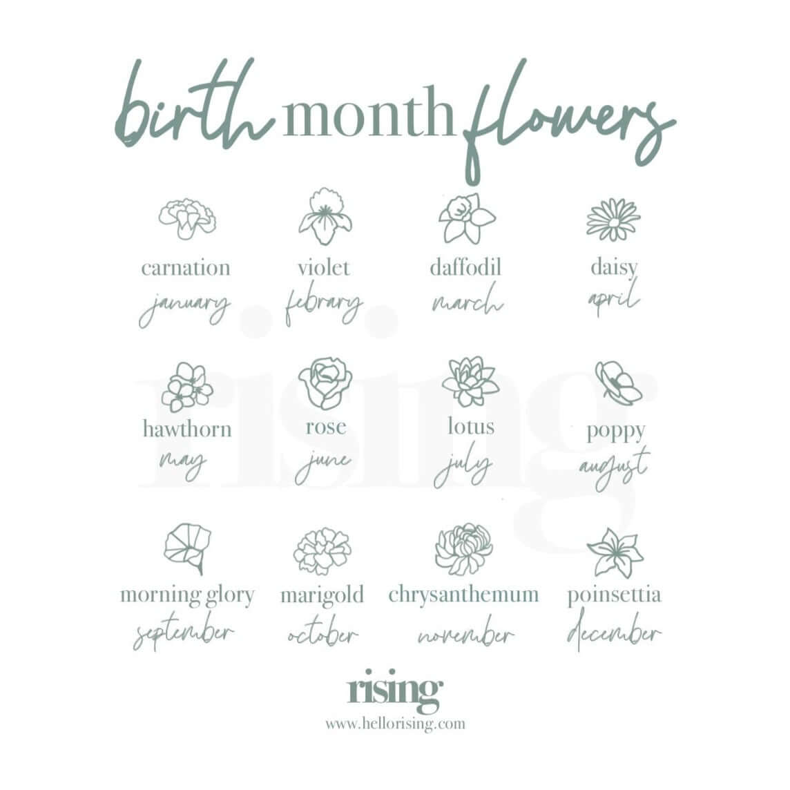 Birth Flower Infinity Band
