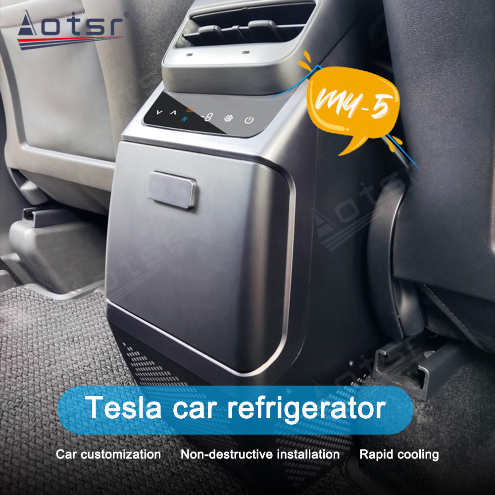 Car Refrigerator For Tesla Model Y Freezing Heating