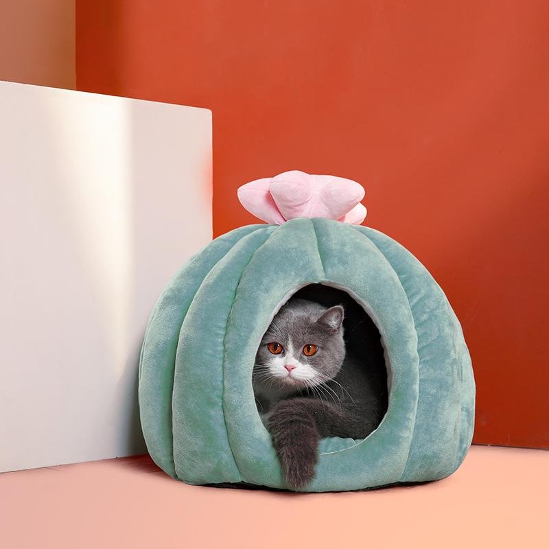 cactus cat bed