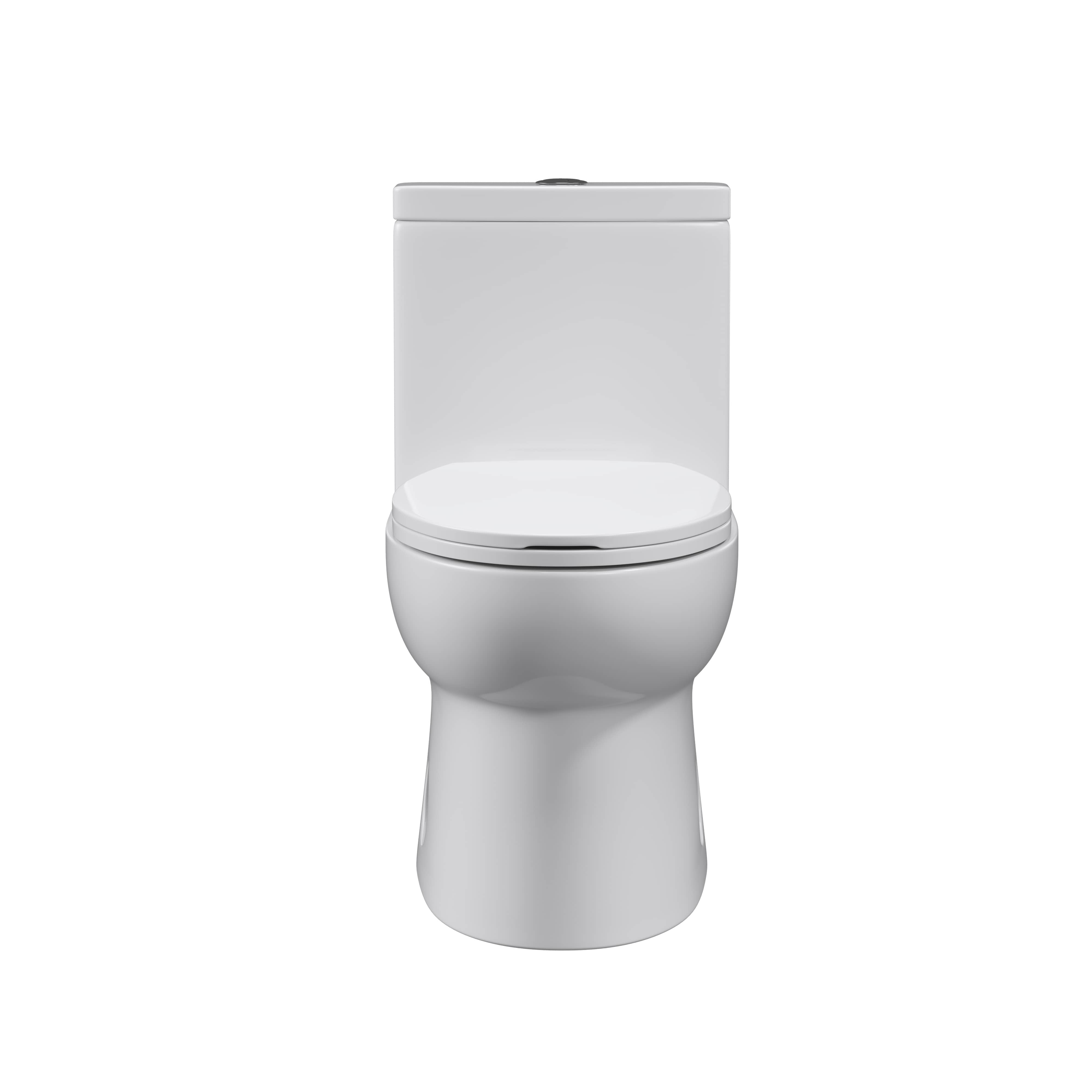 Dual Flush Elongated Standard One Piece Toilet with Soft Close Seat Cover, High-Efficiency Supply, and White Finish Toilet Bowl (White Toilet)