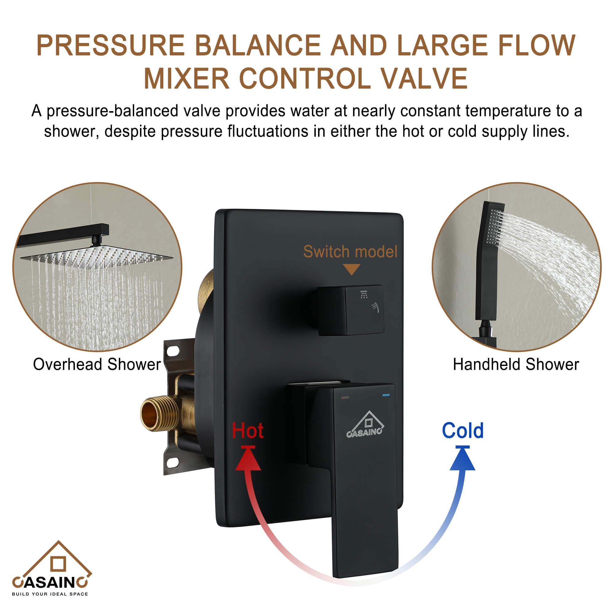 CASAINC Wall-Mounted/Ceiling-Mounted 2-Function Shower System with Handheld Shower in Matte Black