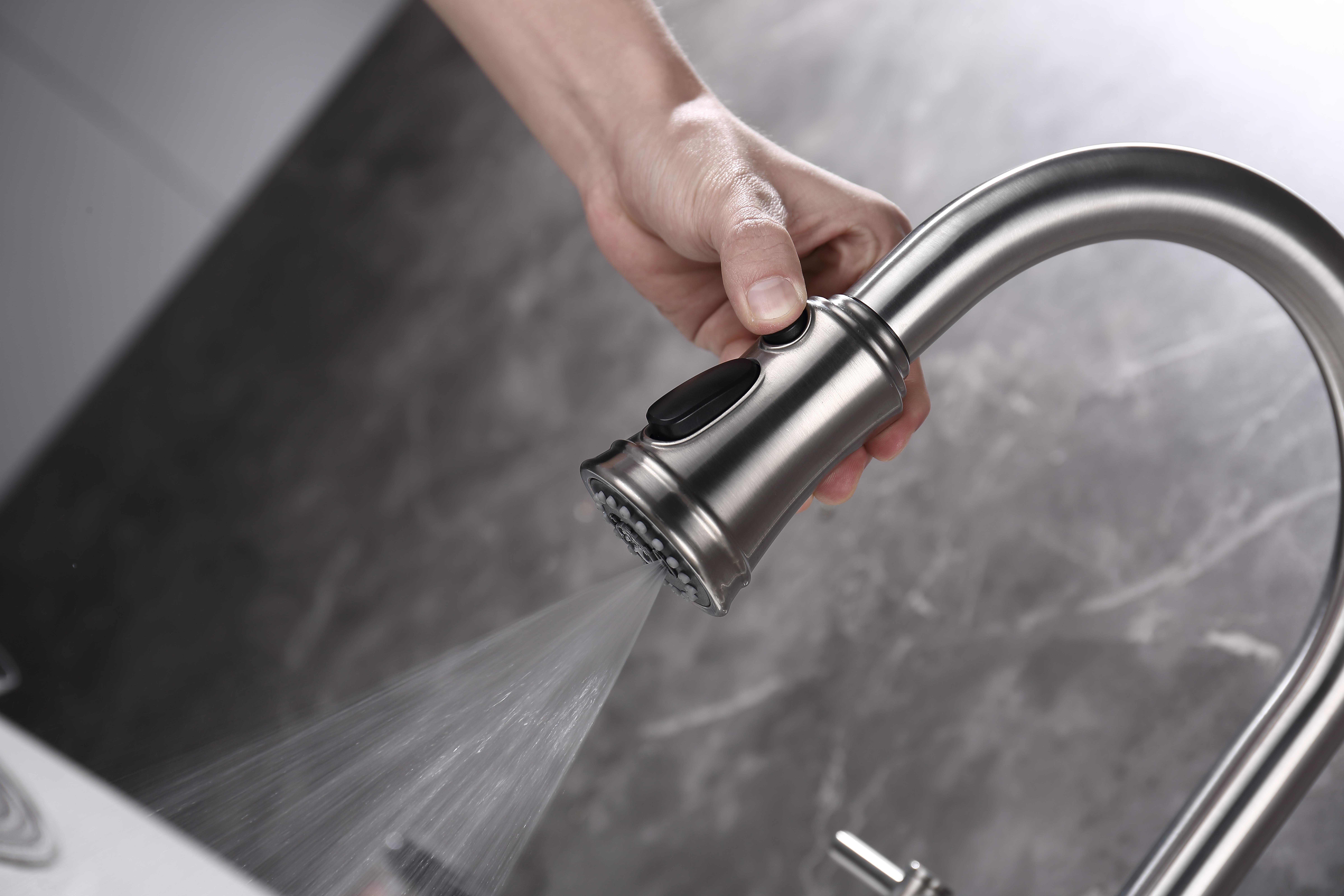 Bridge Kitchen Faucet with Pull-Down Sprayhead in Spot