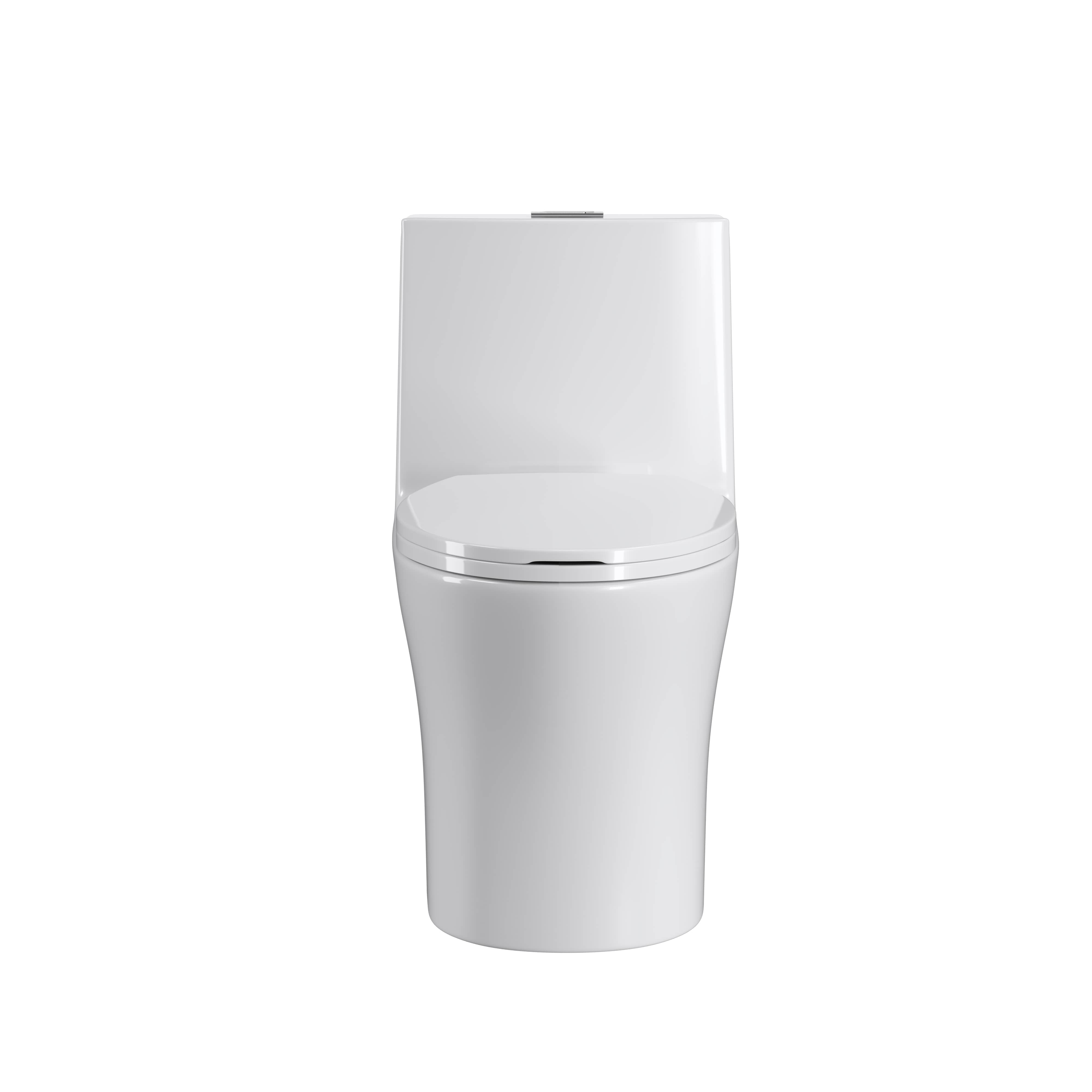 Dual Flush Elongated Standard One Piece Toilet with Soft Close Seat Cover, High-Efficiency Supply, and White Finish Toilet Bowl 