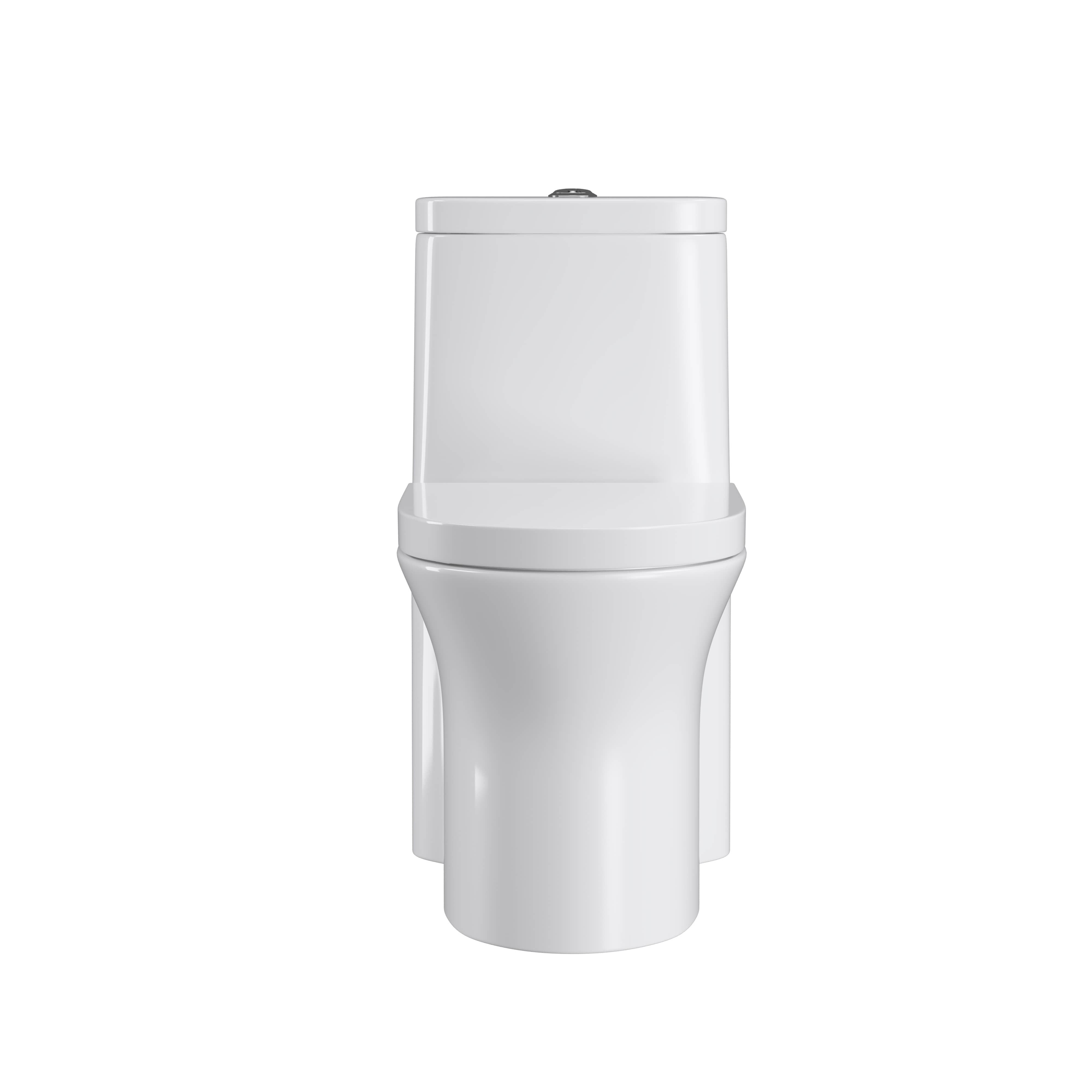Dual Flush Elongated Standard One Piece Toilet with Soft Close Seat Cover, and White Finish Toilet Bowl (White Toilet)