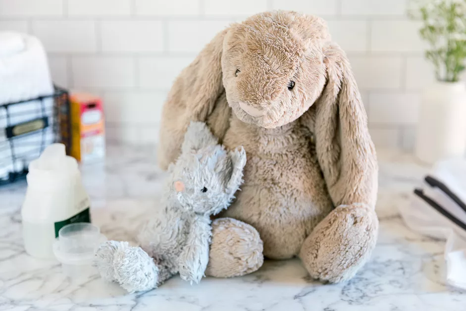 how-to-clean-stuffed-toys-01