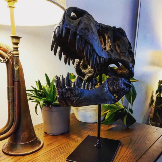 skeleton of a tyrannosaurus rex