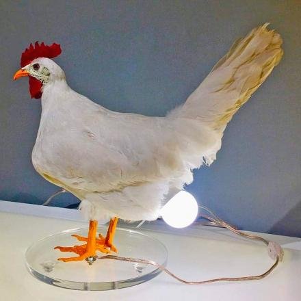 Taxidermy Chicken Egg Lamp