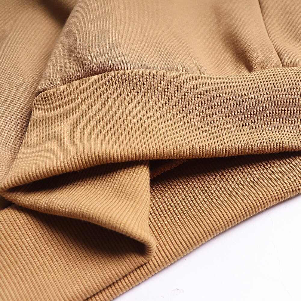 Men's Solid Color Raglan Sleeves Fleece Hoodies Sweatshirts