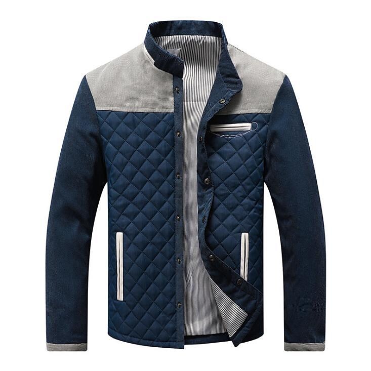 Men's Contrast Stand Collar Button Down Quilted Jacket