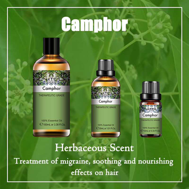 camphor oil scent