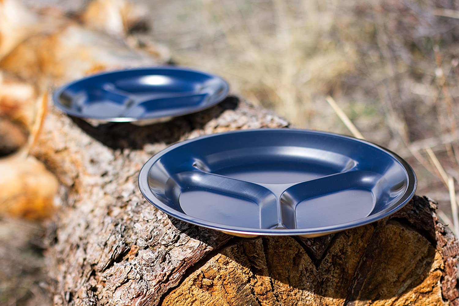 Stainless Steel Plate Set (4 Piece)