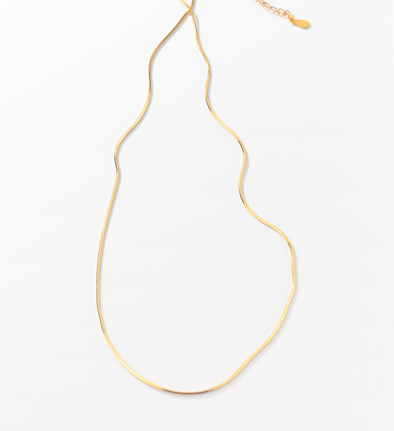 Simple Design S925 Silver Snake Bone Necklace-BlingRunway