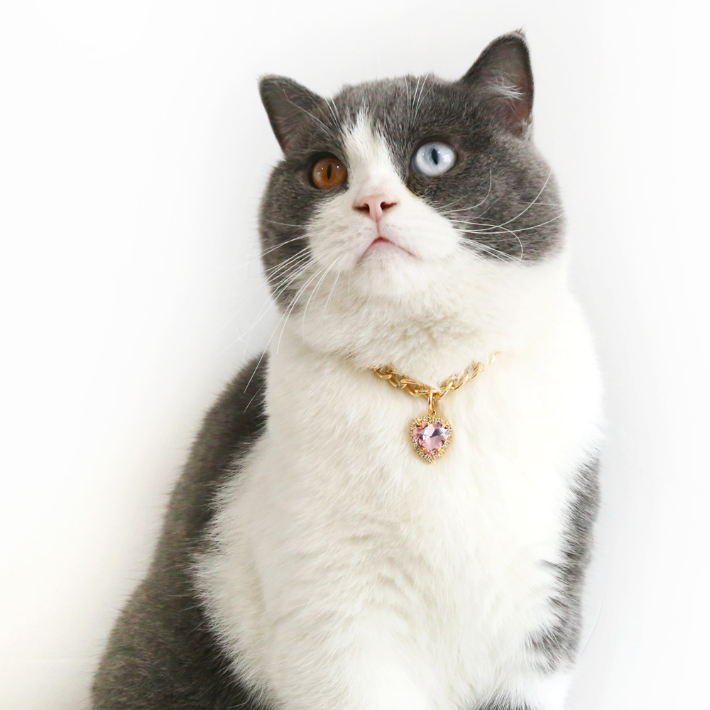 Cat Metal Heart Gemstone Adjustable Pet Necklace-BilngRunway