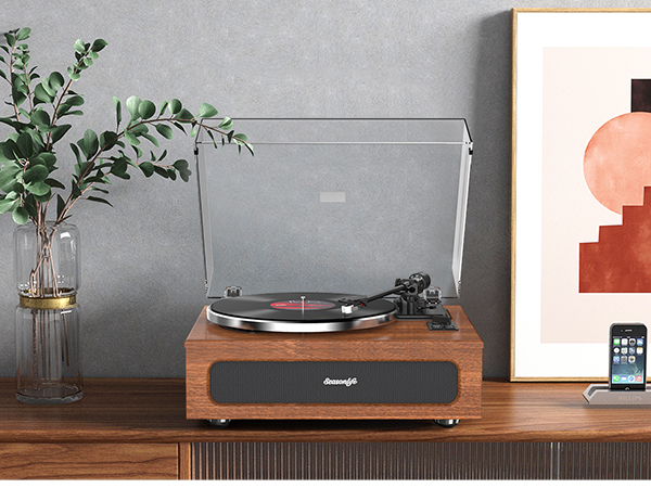 Upgraded All-in-One Record Player with High-Fidelity Sound