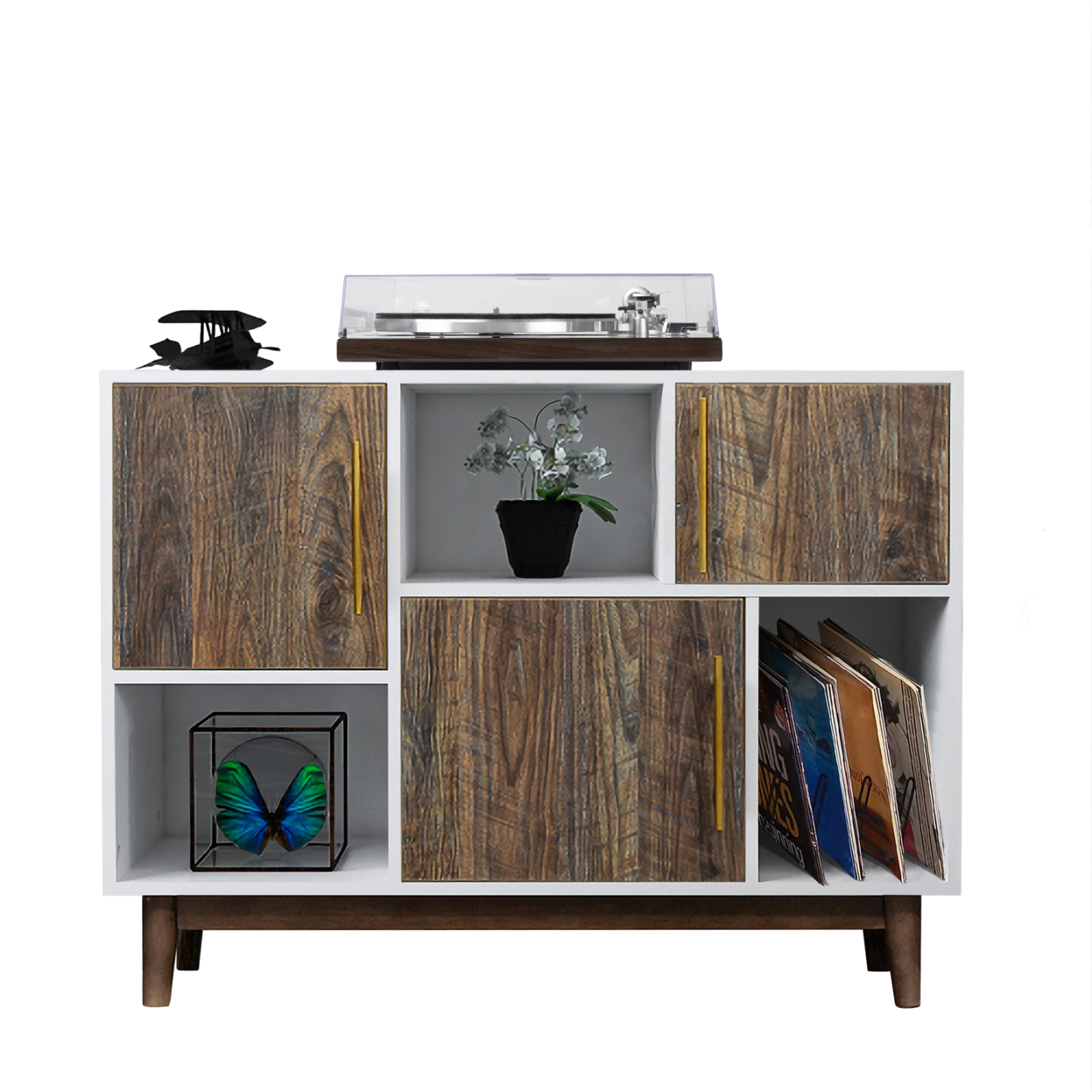 Multi-purpose Vinyl Record Storage Cabinet