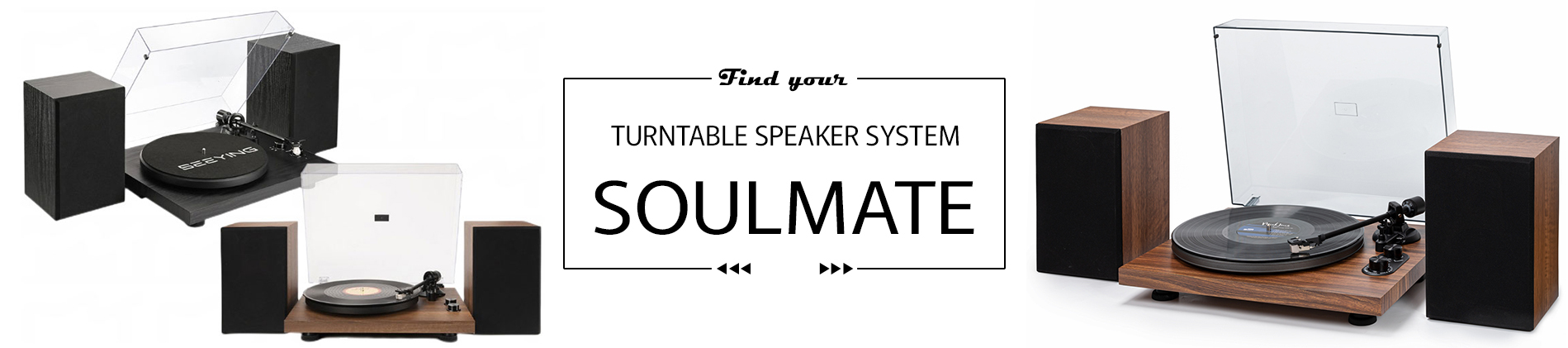Turntable Speaker System