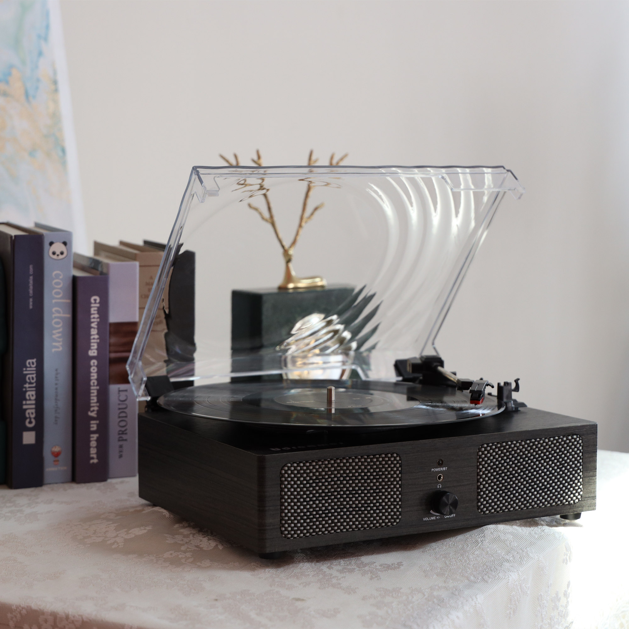 Record Player with Speaker in Vintage Wood Design UD001