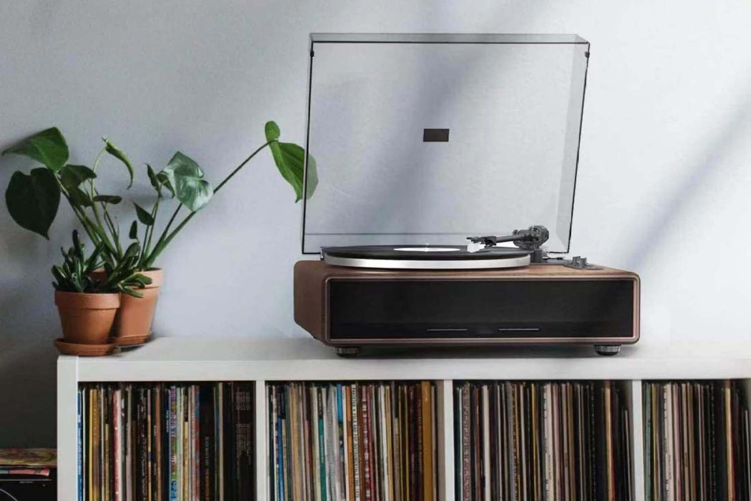 New to Vinyl,Best Entry Level Turntable Retrolife