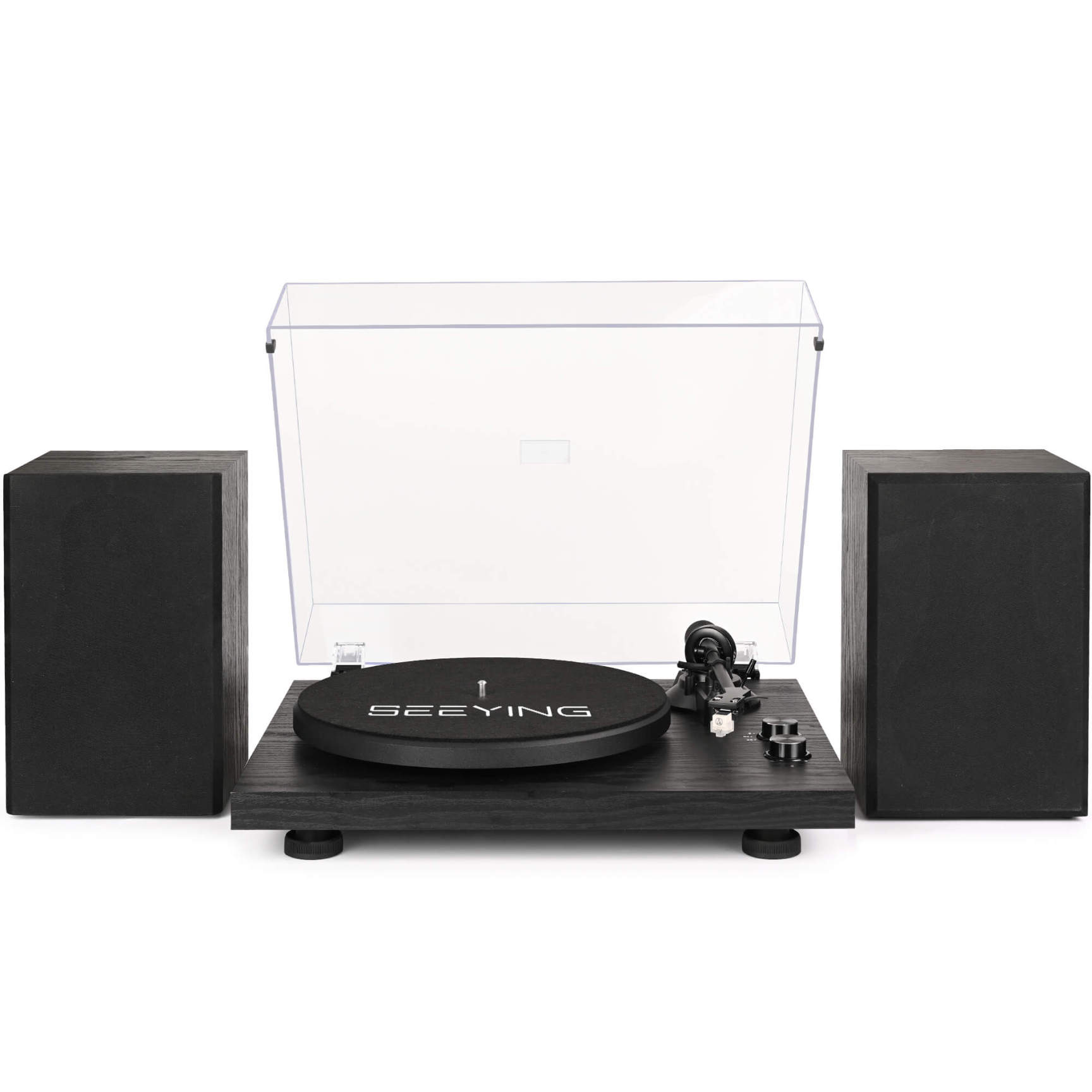Turntable Speaker System