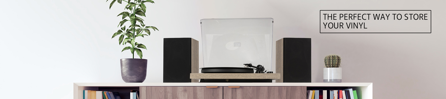 Vinyl Record Storage