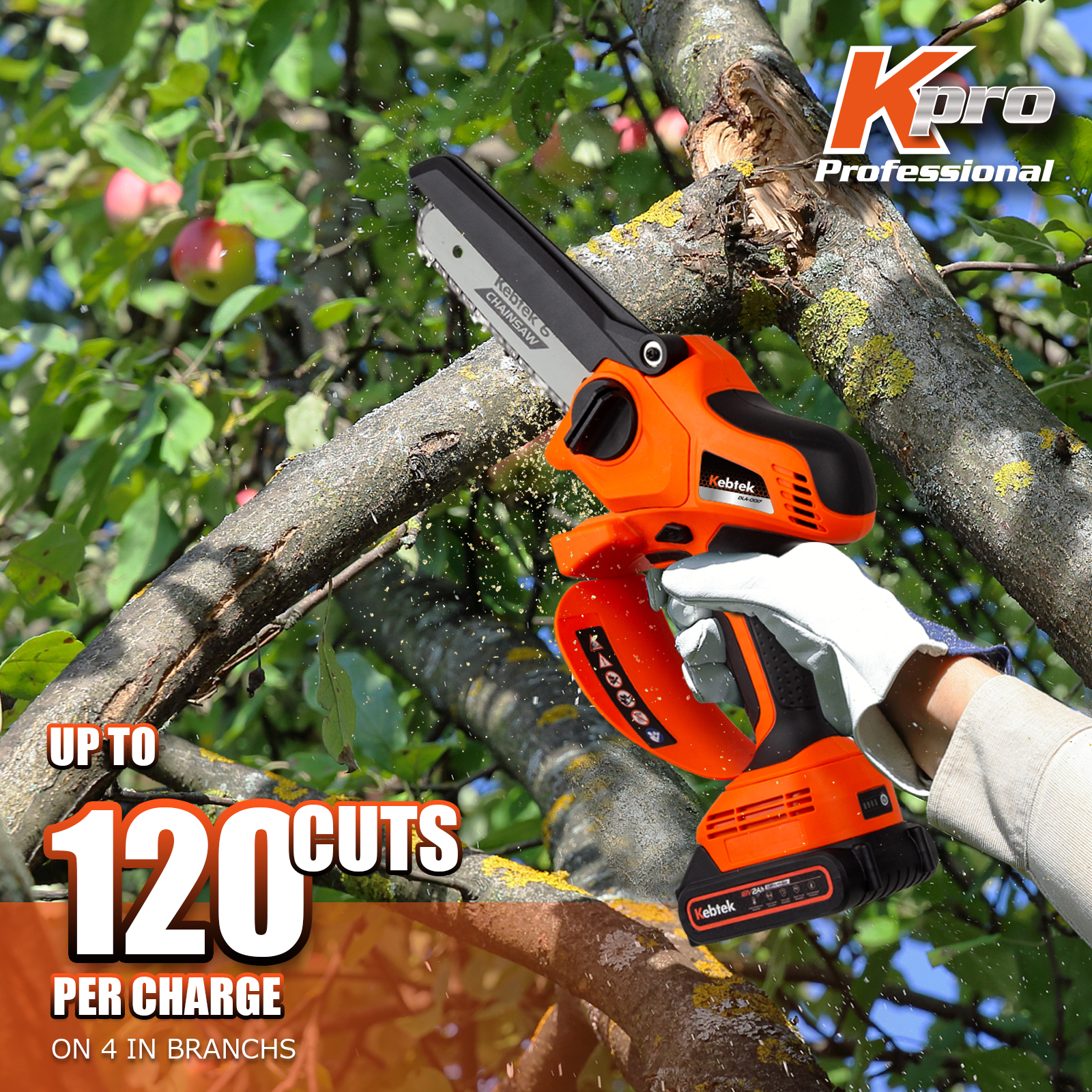 Battery operated chainsaw discount on a pole