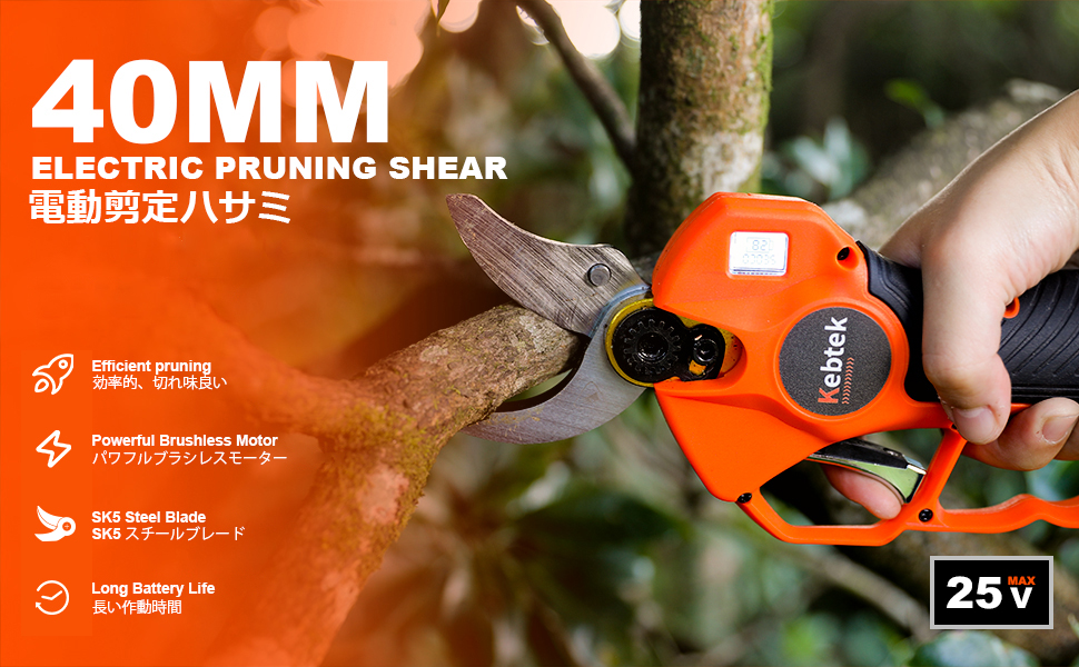electric pruning shear