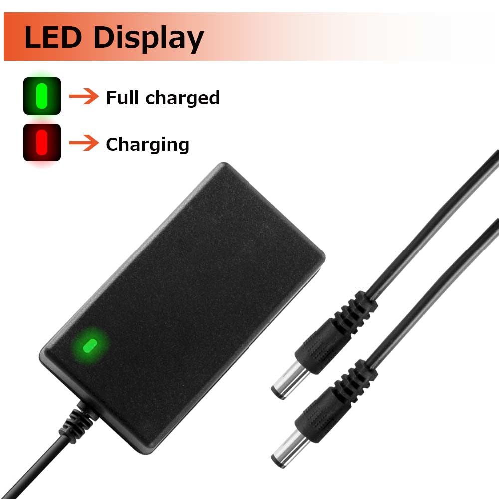21V DC Wall Charger Power Adapter Plug